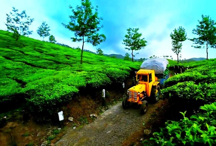 4. Unforgettable Kerala